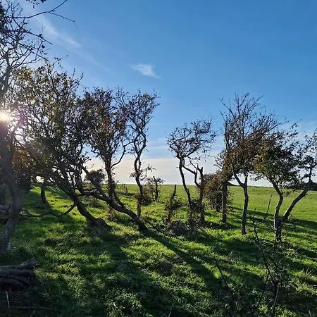 Les Guillemots Appartamento