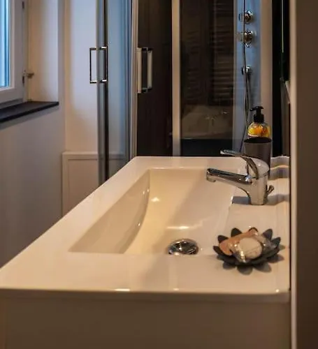 Les Guillemots Le Tréport