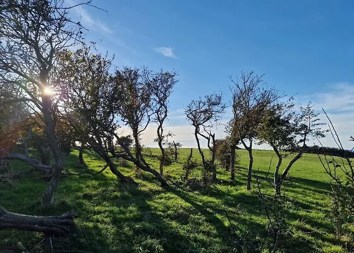 Les Guillemots Appartamento